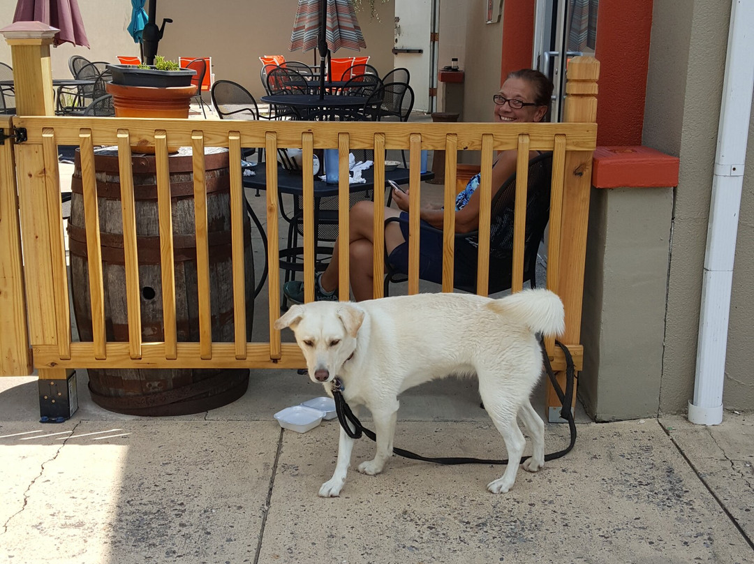 Chessie Nature Trail-列克星敦必去景点