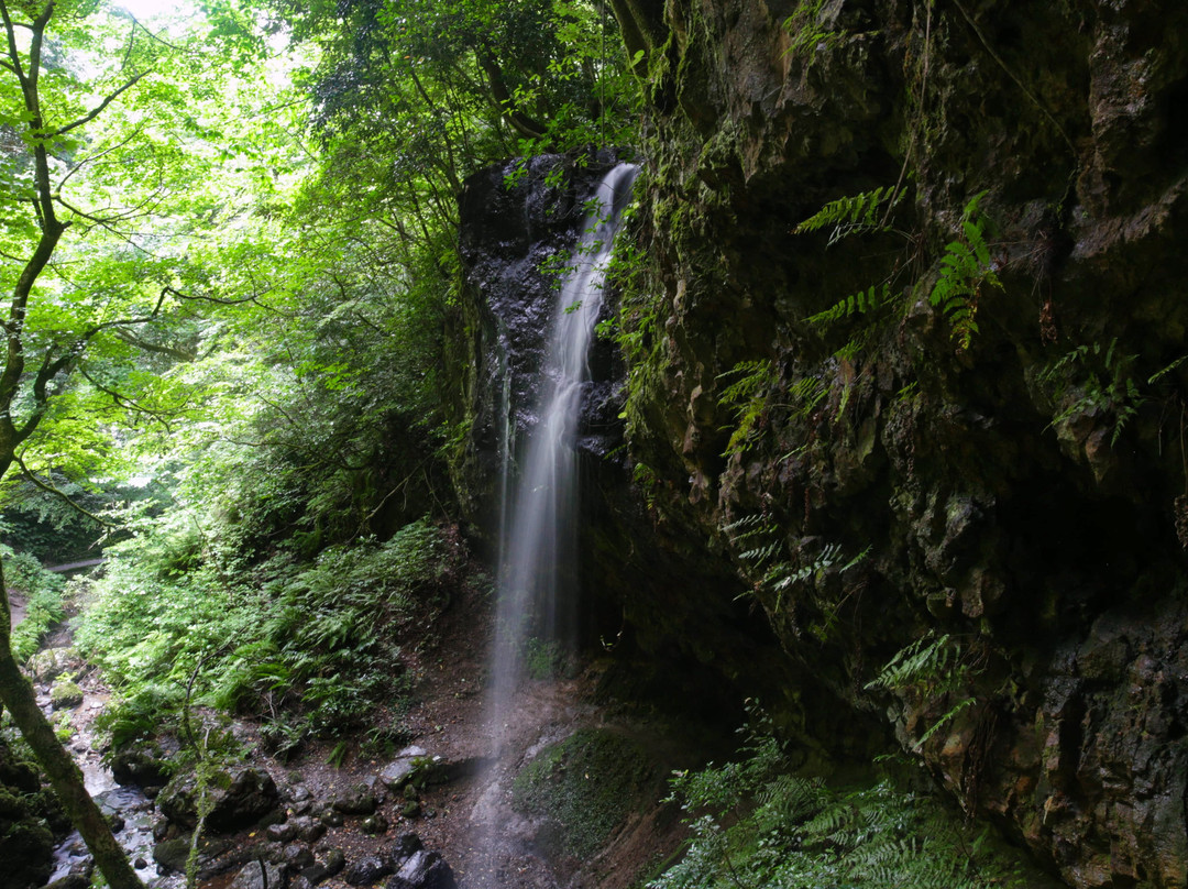 Shiratama Falls-新泻市必去景点