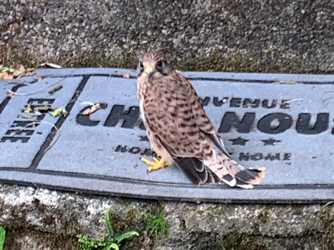 Logis du Grand Moulin主图