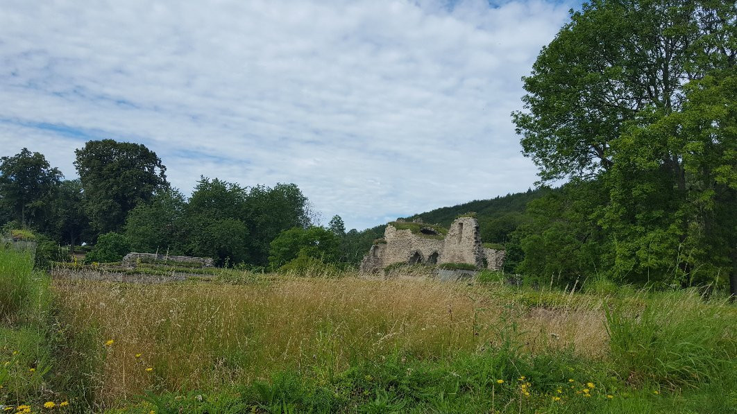 Alvastra Klosterruin景点图片