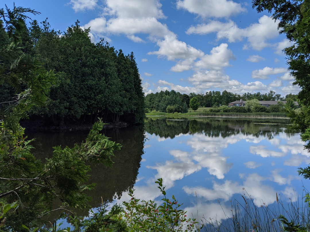 Millcroft Inn & Spa主图