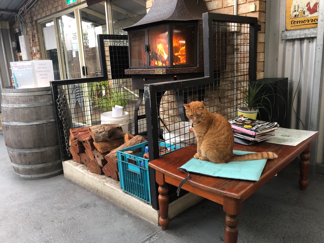 Wilson Brewing Company-奥尔巴尼必去景点