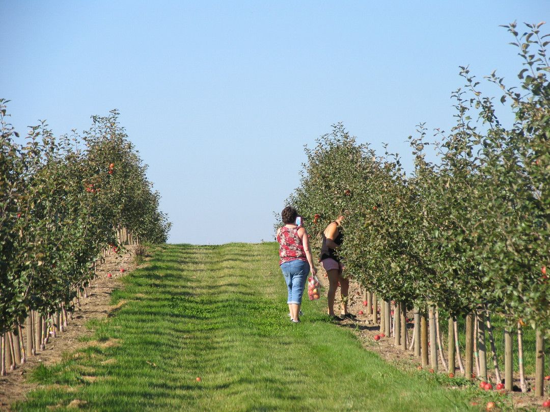 Applewood Farm景点图片