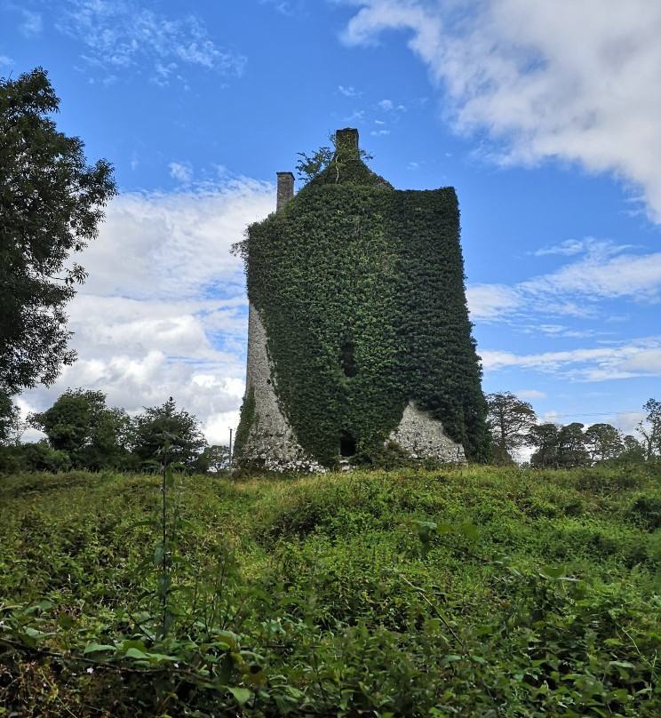 Knockma Forest Walk-Tuam必去景点