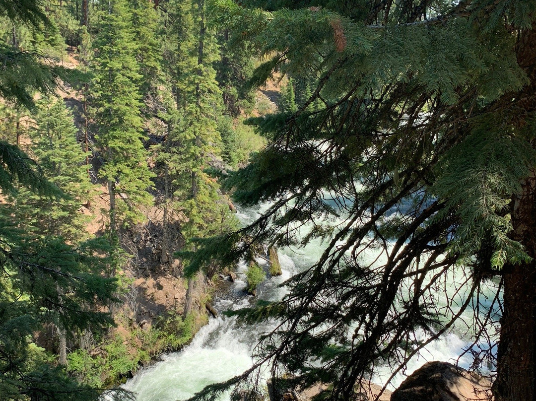 Trail to Benham Falls景点图片