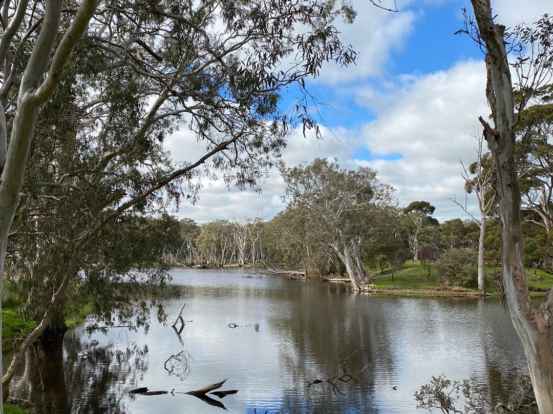 Duck Lagoon-袋鼠岛必去景点