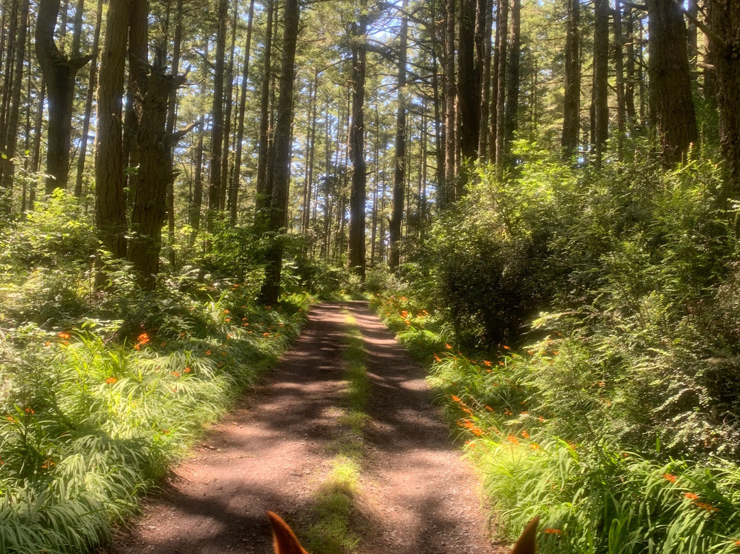 Five Brooks Stables-Olema必去景点