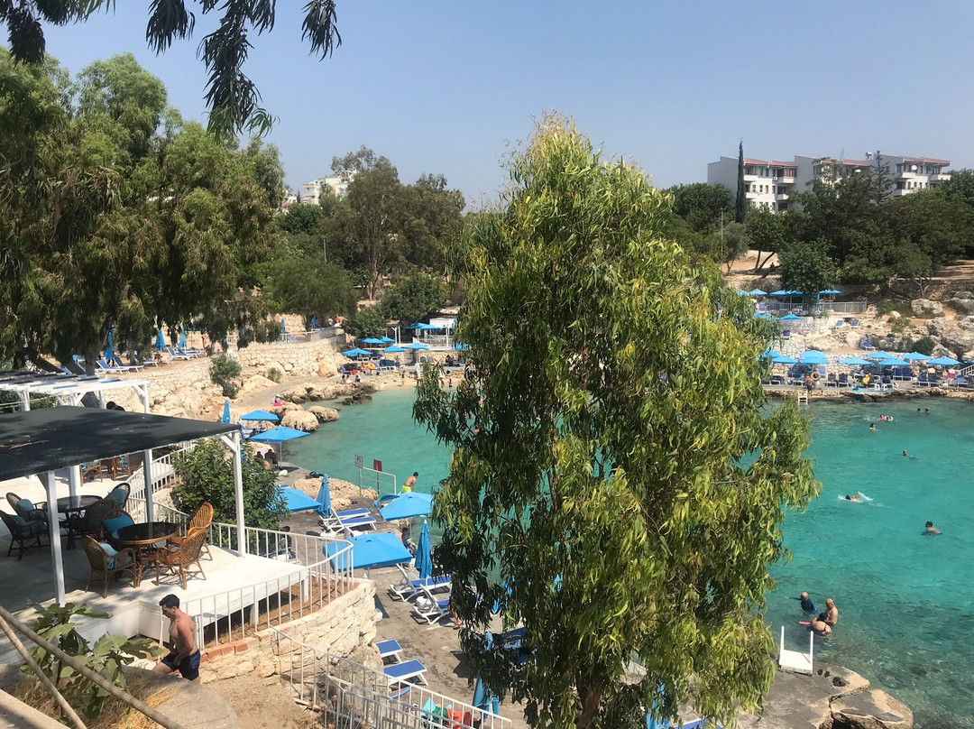 Yapraklı Koy Plajı景点图片