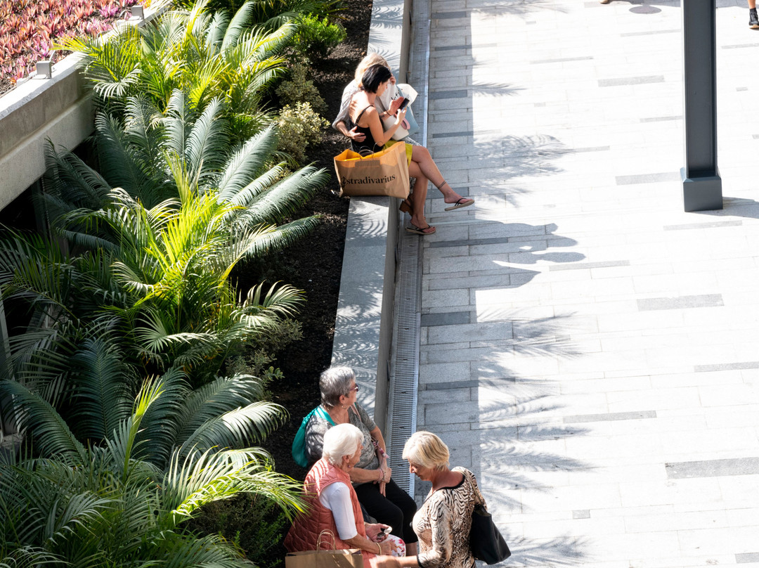 Rosa Center-奥德杰海岸必去景点