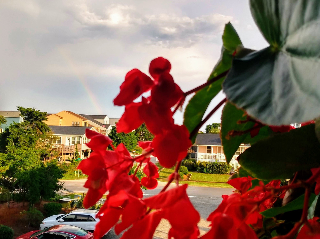 The Sunset Inn主图