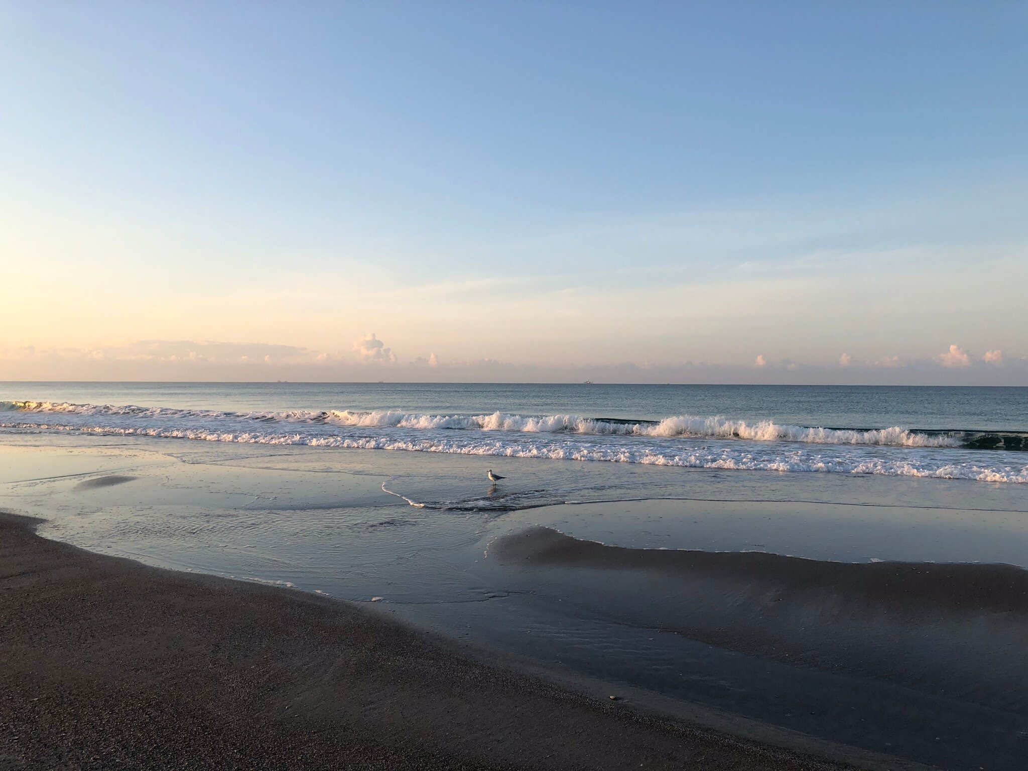 Island Inn of Atlantic Beach-官方