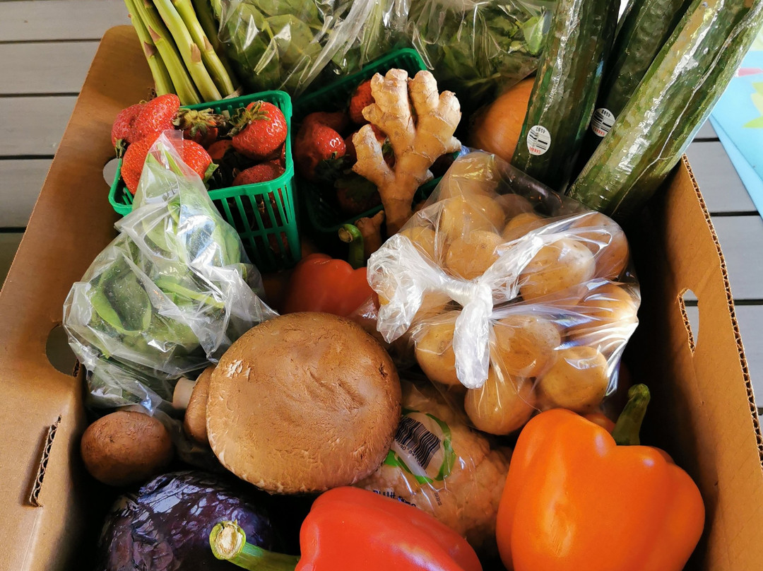 Elberta Farms Country Market-Paris必去景点