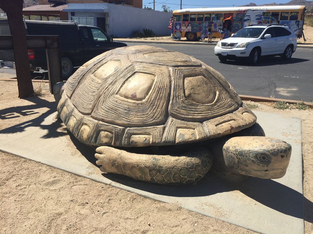 Murtle the Turtle-约书亚树必去景点