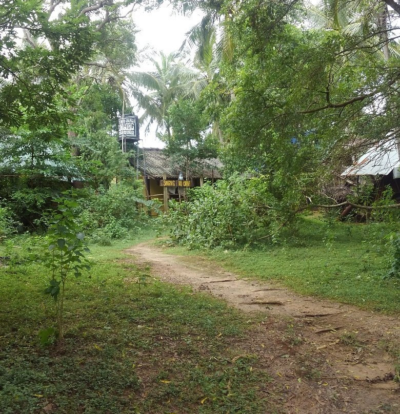 Singing Bird Cabana Rekawa Beach主图