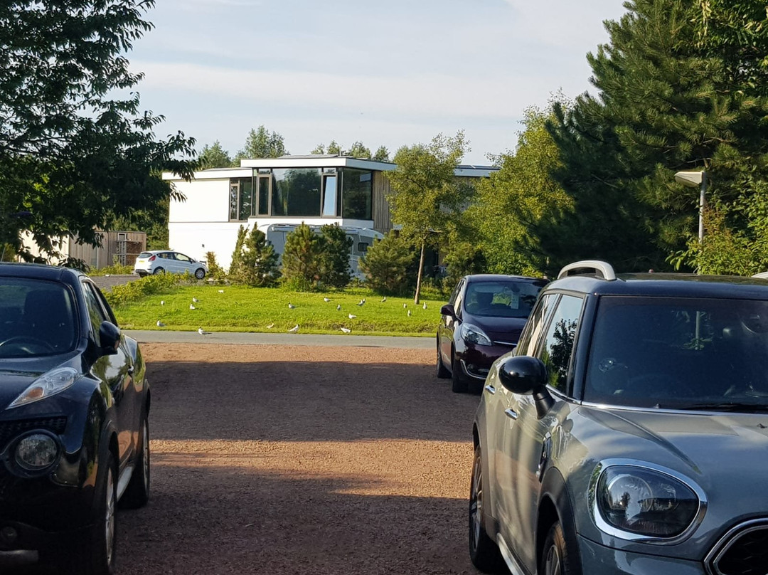 Huis van Steen主图