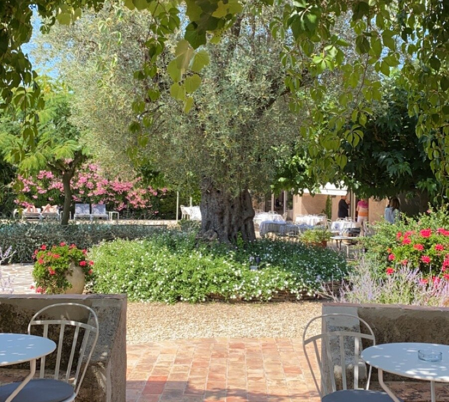 Hôtel Restaurant La Figuière主图