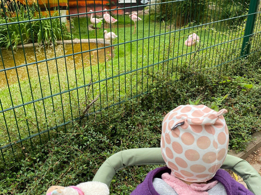 Tierpark Bad Liebenstein-Bad Liebenstein必去景点
