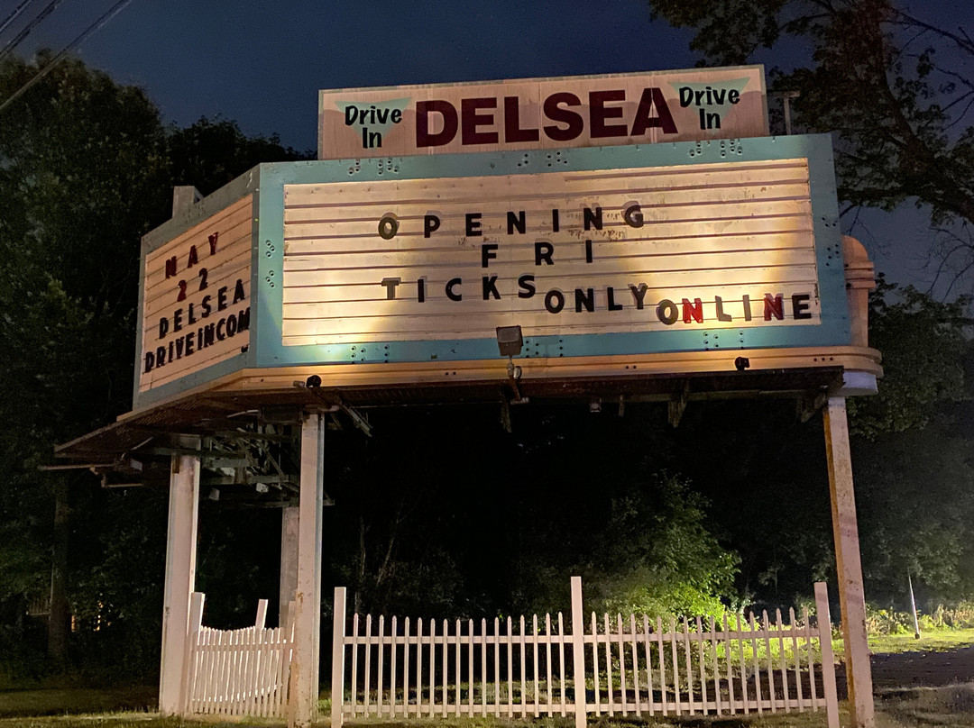 Delsea Drive-In Theatre景点图片
