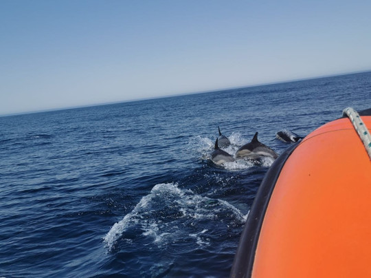 Mar Ilimitado-萨格里什必去景点