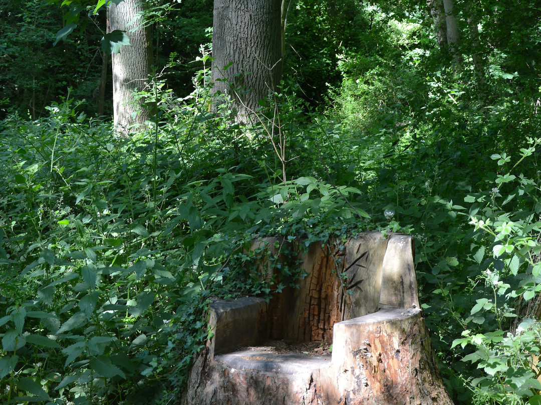 Gobions Wood Nature Reserve景点图片