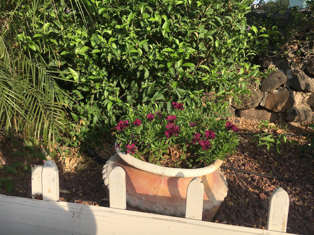 Etzel Tami Hospitality主图