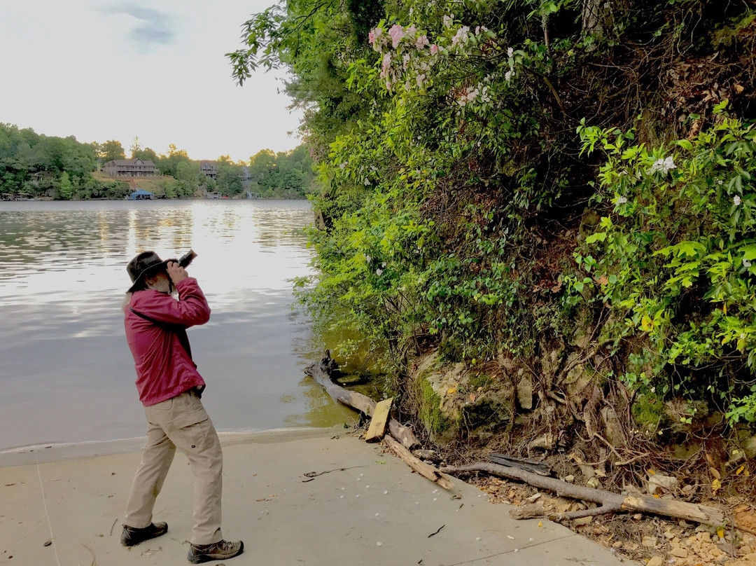 Arley旅游攻略图片