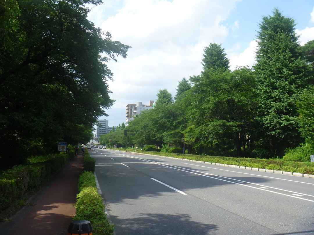 Daigakudori Street-国立市必去景点