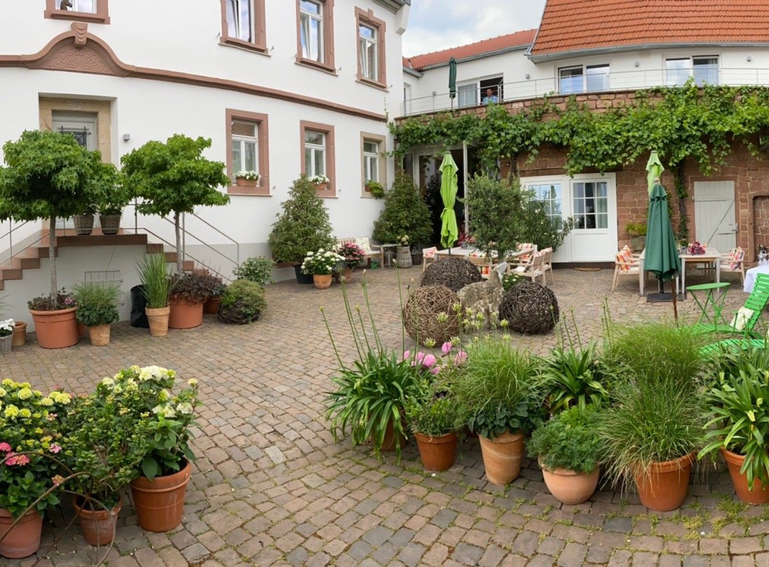 Julius in der Pfalz主图