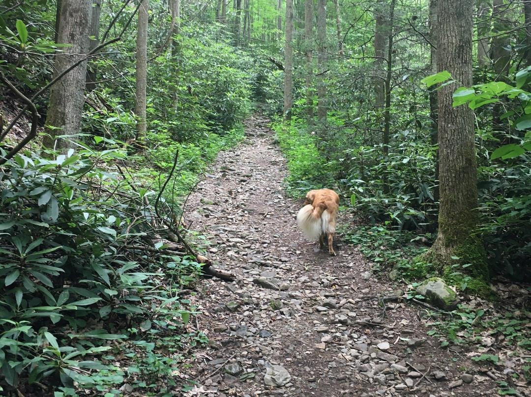 Rock Creek Park景点图片