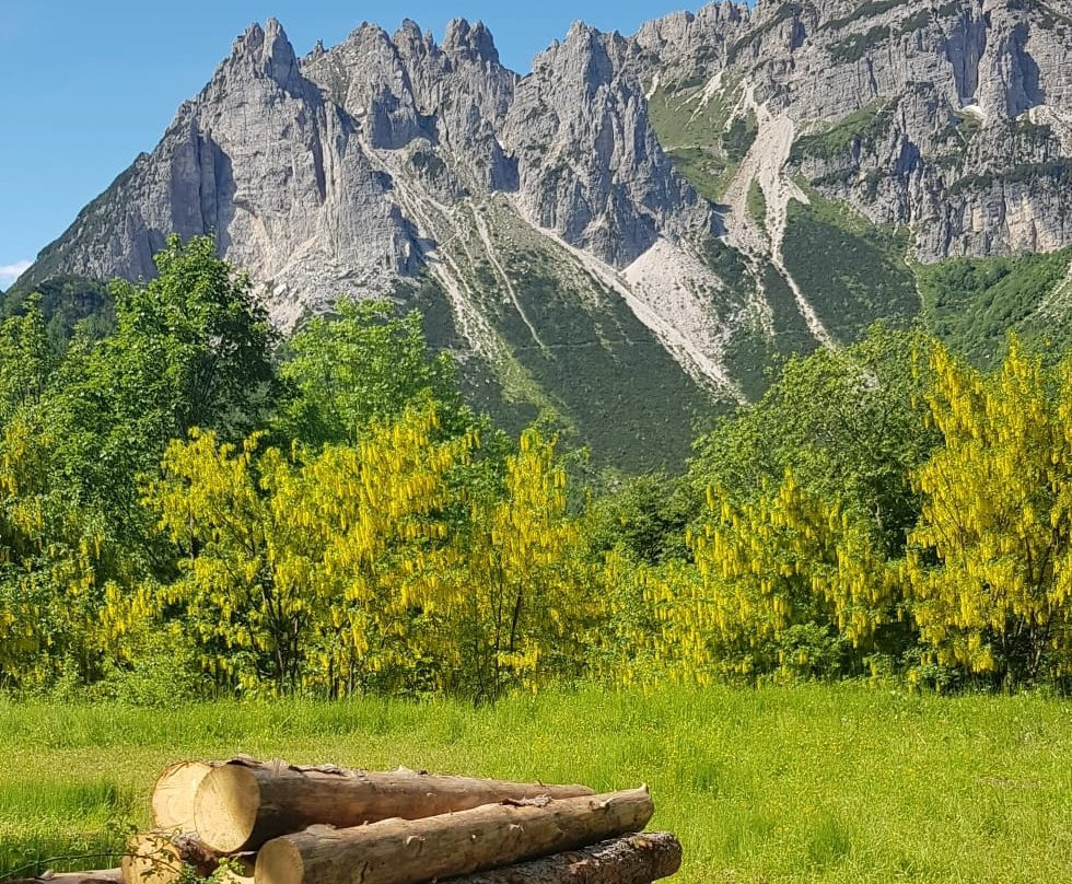 Giro delle Malghe – Campogrosso景点图片