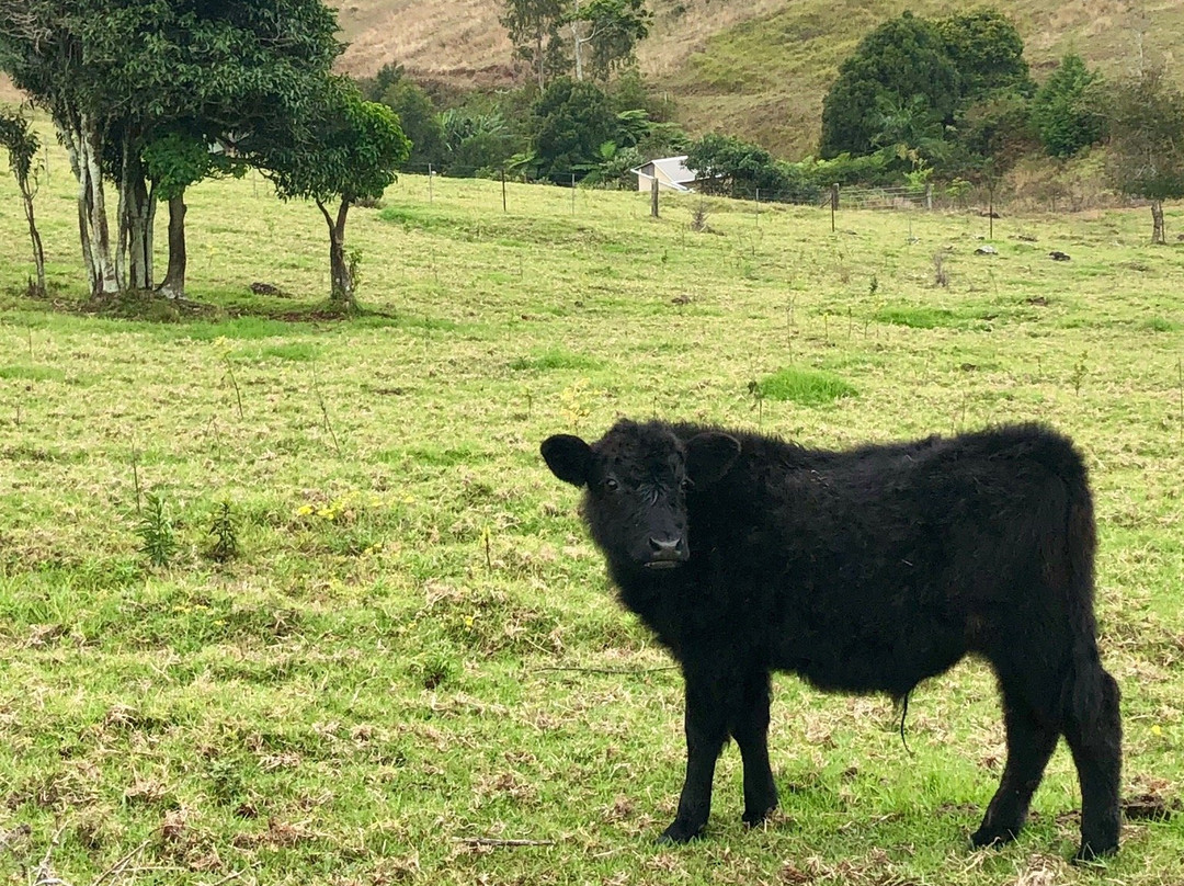 Seaview Farm Retreat主图