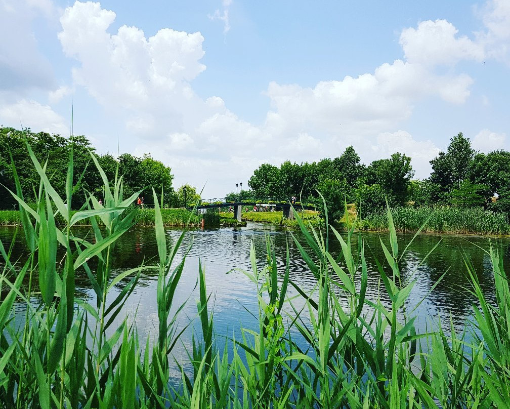Comana Nature Park景点图片