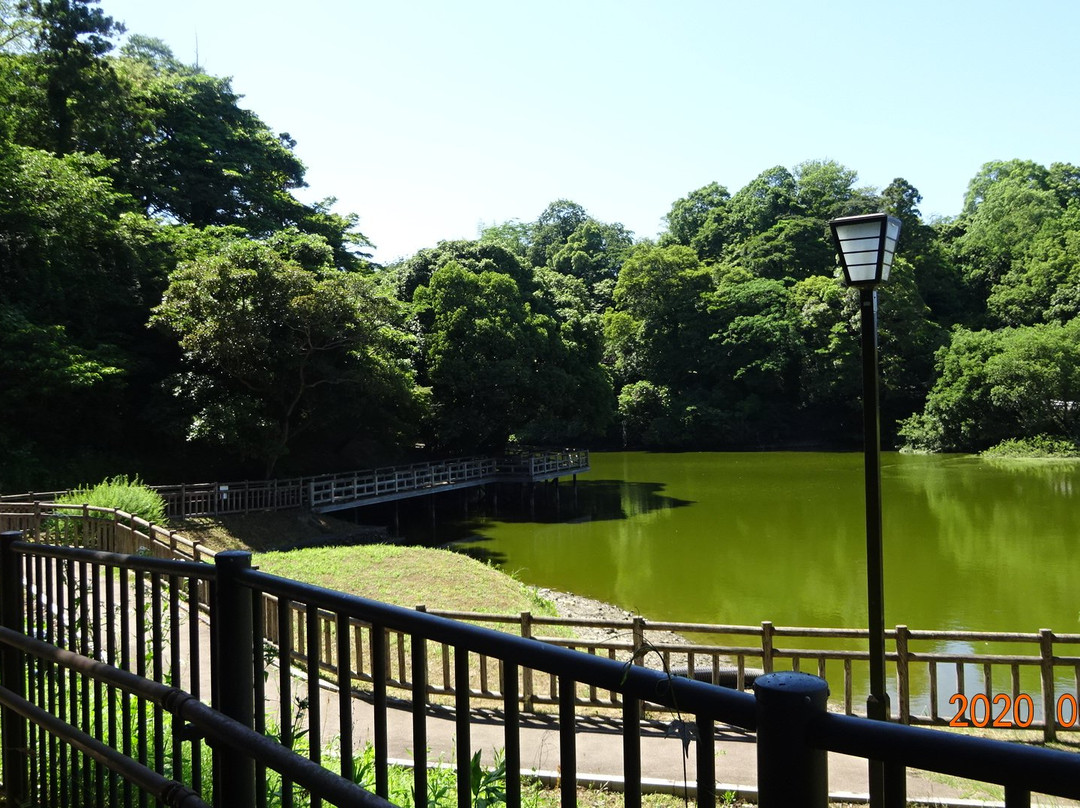 Kameyamajo Ato景点图片