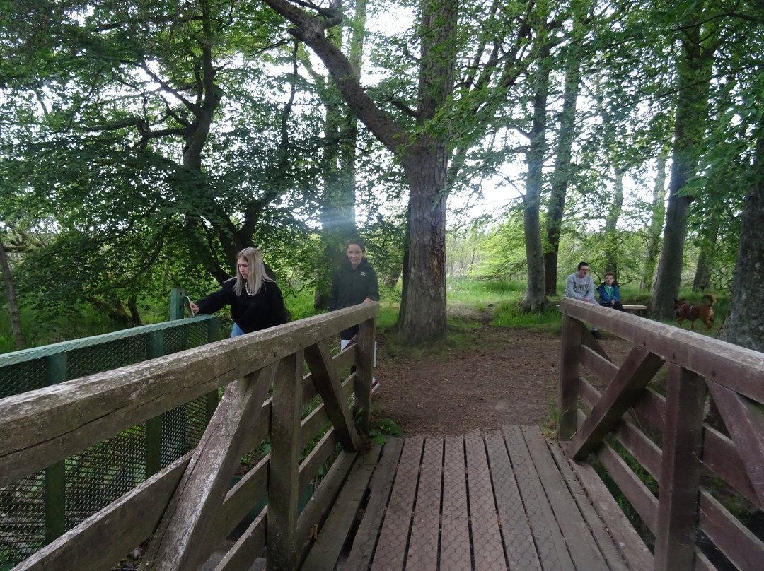 Loch of Kinnordy-Kirriemuir必去景点