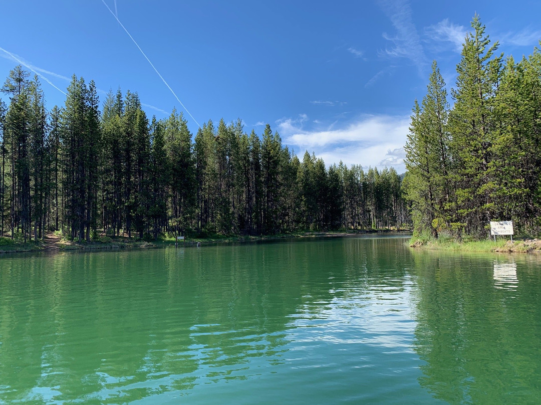 Lemolo Lake / Crater Lake North KOA主图