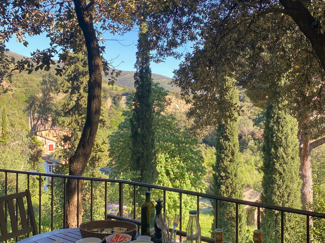 Domaine de Miravel主图