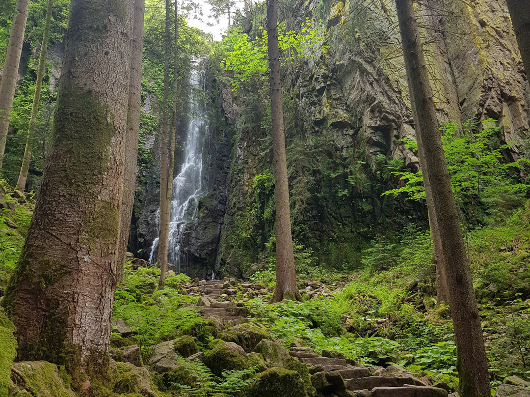 Burgbachwasserfall-Bad Rippoldsau-Schapbach必去景点