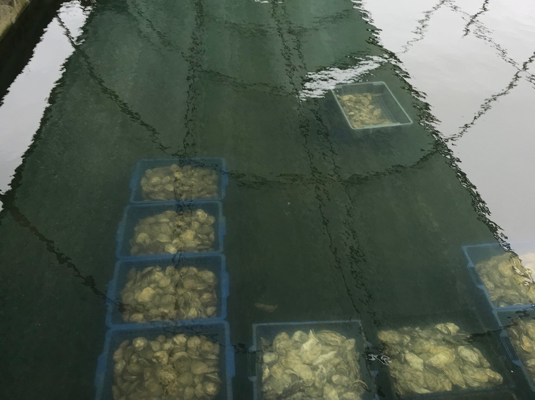 La Ferme Marine景点图片