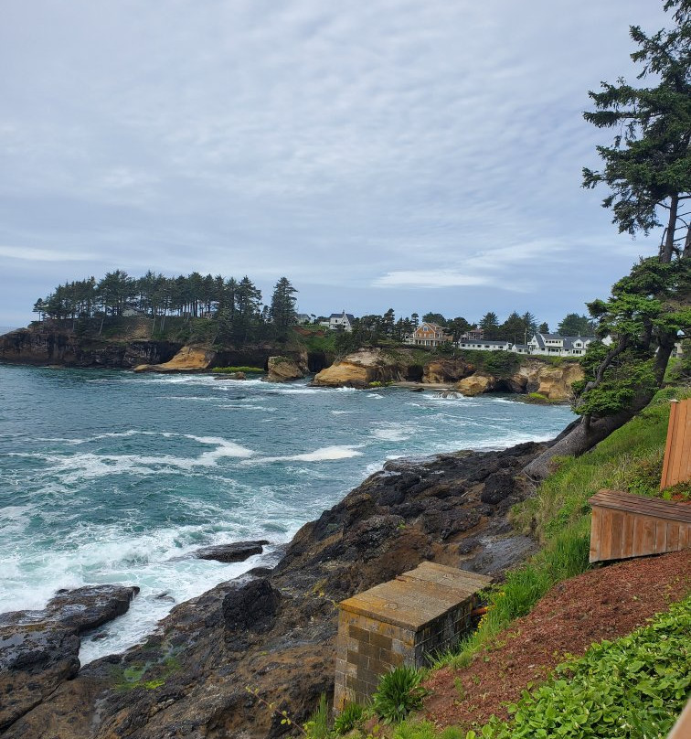 An Ocean Paradise Whales Rendezvous主图