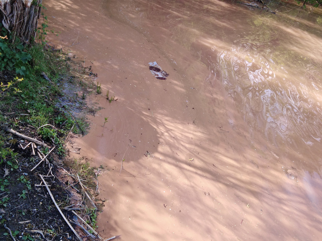 Ricklinger Kiesteiche-汉诺威必去景点