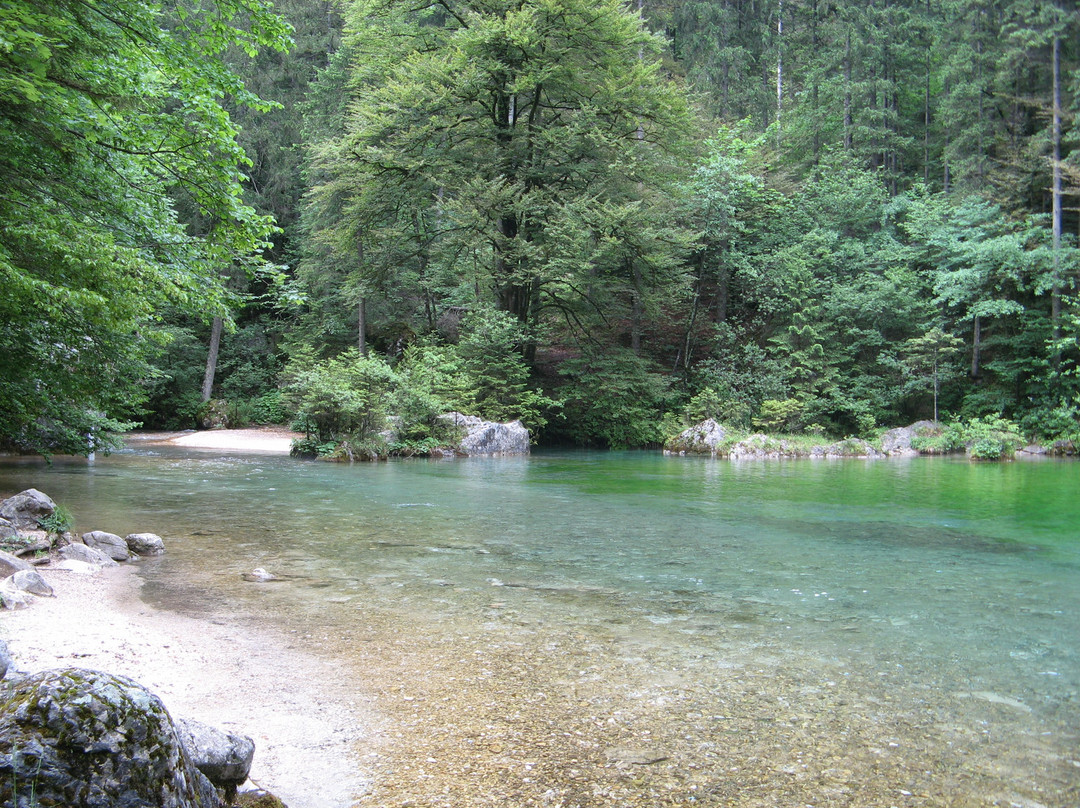 Kamniska Bistrica River景点图片