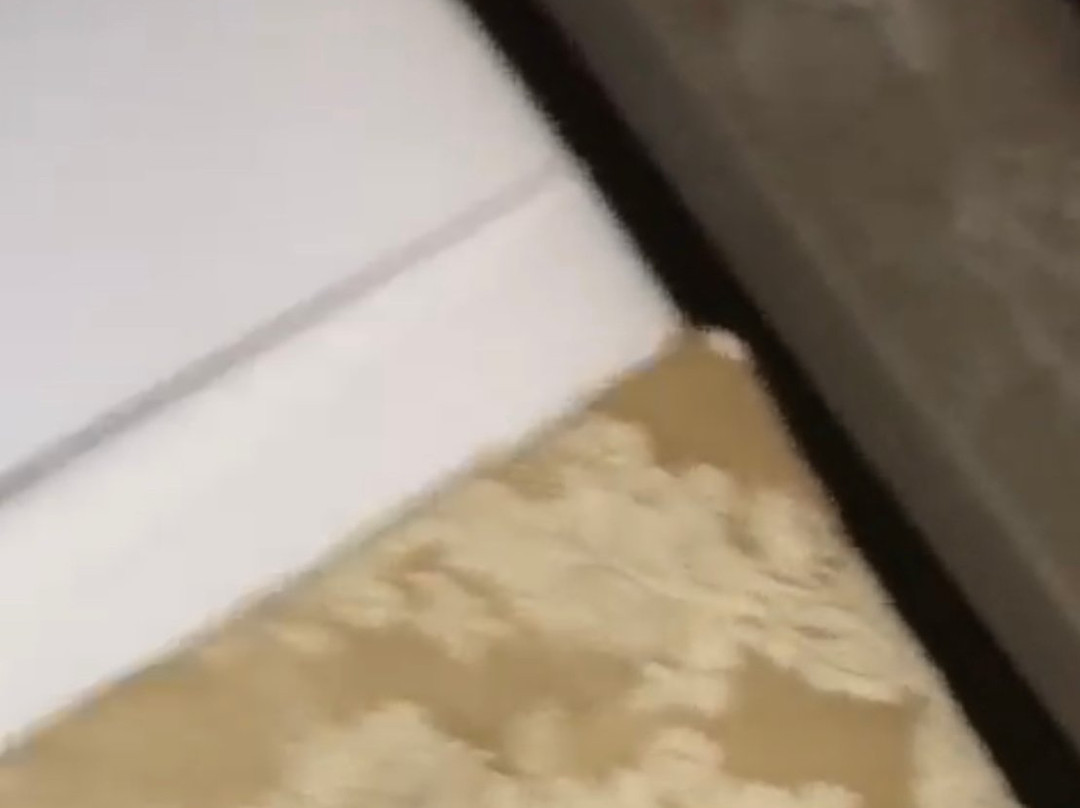 The Park Hotel主图