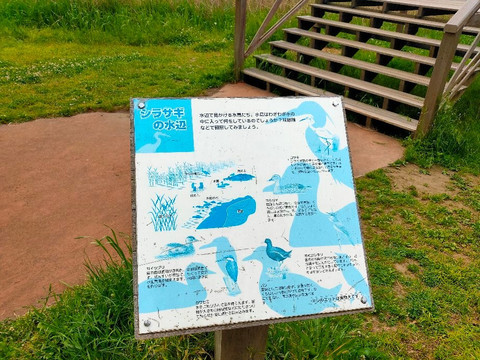 Binnuma Nature Park-富士见市必去景点