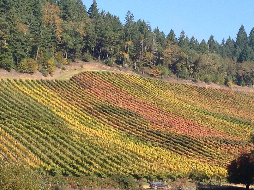 Oregon Vine2Wine Tours景点图片