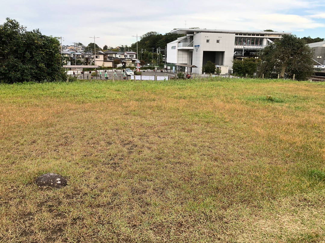 Tatemae Site-多贺城市必去景点