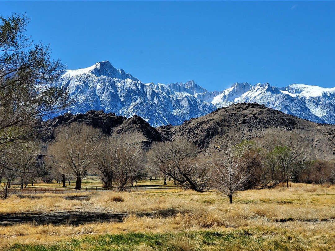 Eastern Sierra InterAgency Visitor Center-隆派恩必去景点
