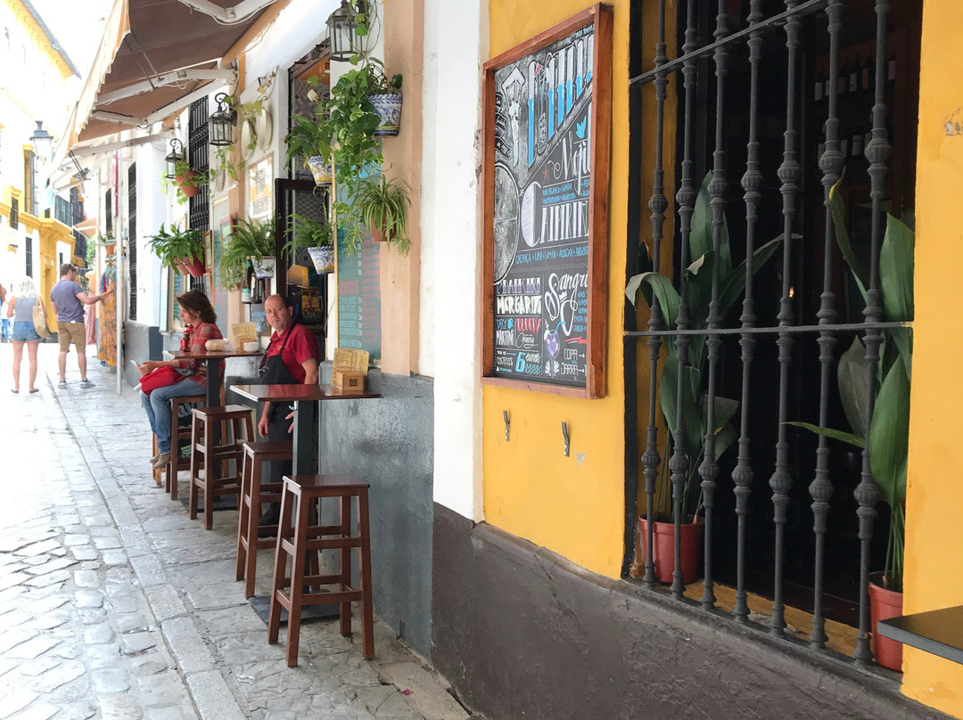 Seville Center-苏塞必去景点