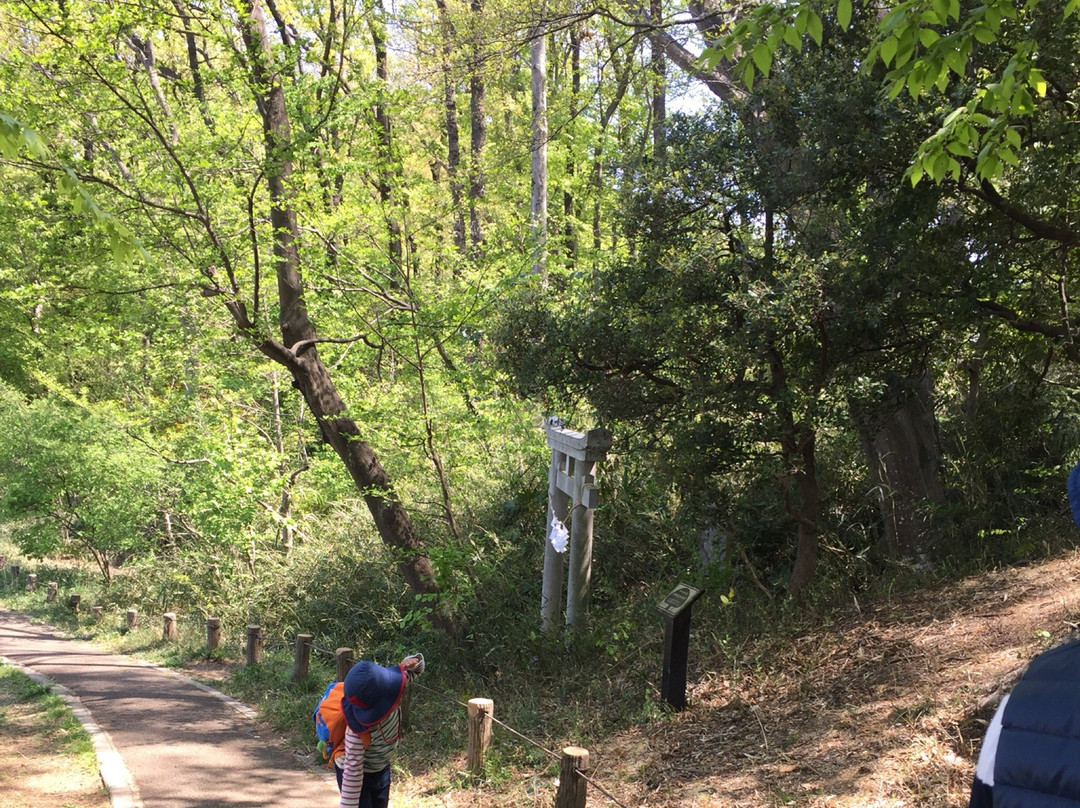 Sengenyama Park景点图片