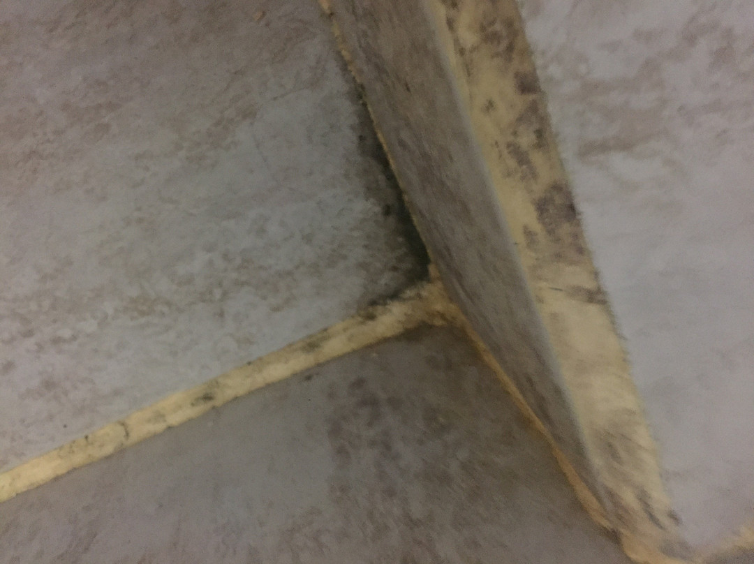 Hotel Piedra del Mar主图