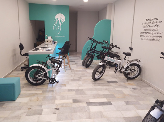 Aurelia e-assist Bikes-纳克索斯必去景点